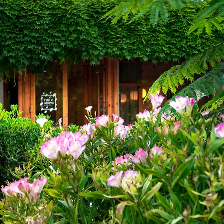 The Grove Seaside Hotel