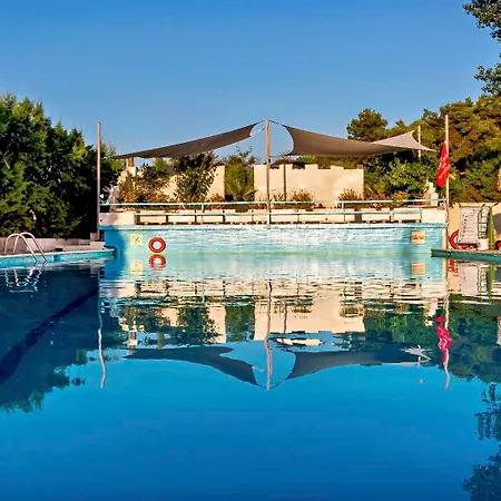 The Grove Seaside فندق ذريبانو