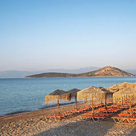 The Grove Seaside 4* Drépano