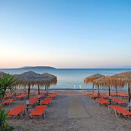 The Grove Seaside 4*
