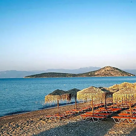 The Grove Seaside 4* Drepano (Argolis)
