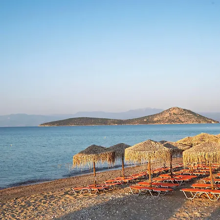 The Grove Seaside 4*