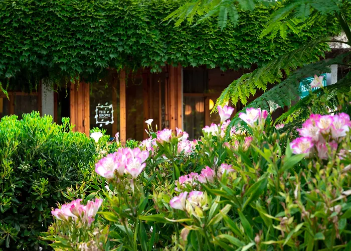 The Grove Seaside Hotel